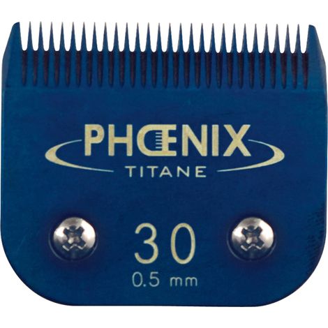 Tête de coupe N°30 Phoenix Céramique