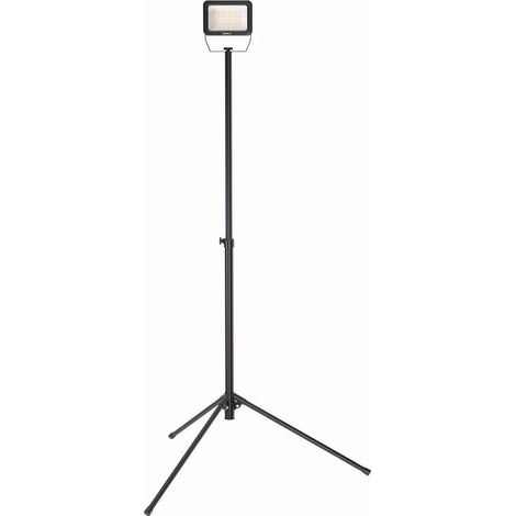 Dedra Lampada da lavoro LED 50W illuminazione potente