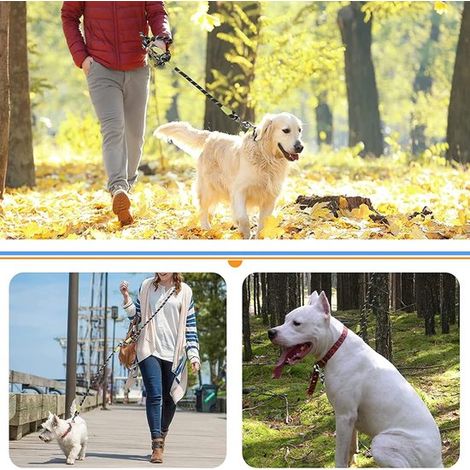 Questo guinzaglio è adatto a cani di taglia grande, media e piccola e facilita la corsa, le passeggiate e l'addestramento. È realizzato in nylon molto resistente. (1/5)