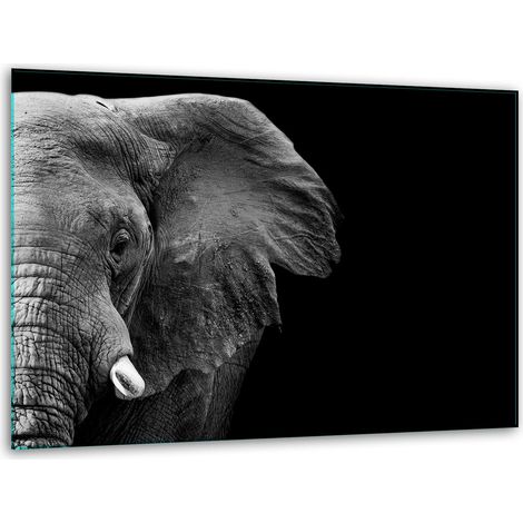 Soporte de tabla de corte de vidrio 40x30 Elefante (1/5)