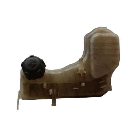 Vase Expansion RENAULT Laguna III Phase 1 2007-2010 [PRODUIT D'OCCASION]♻️217100014r (1/2)