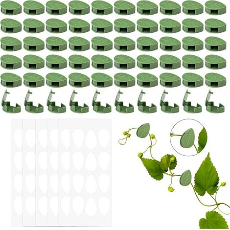 60 Pièces Clip Plante Grimpante, Clip de Fixation Végétale Auto-Adhésif, Clips de Support pour Plantes Grimpantes, Clips Feuilles pour Plantes Invisible, Clip pour Plante Muraux de Jardin (1/4)