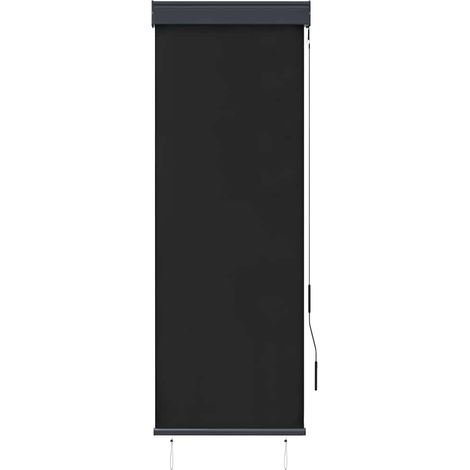Store roulant d'extérieur 60 x 250 cm Anthracite CFW4964692 (1/5)