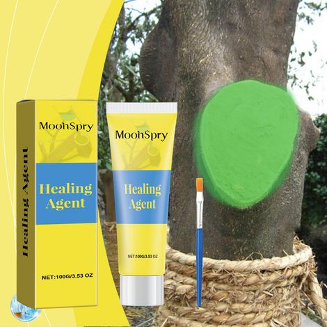 Agent de cicatrisation pour arbres, revêtement des plaies de greffe pour jeunes plants et arbres fruitiers, agent cicatrisant imperméable -- 100 g1 + pinceau1 (1/5)
