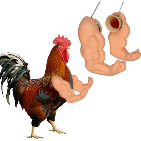 Bras En Forme De Muscle Pour Poulet - Accessoire Costume Festif Réutilisable Pour Poules - Taille Unique