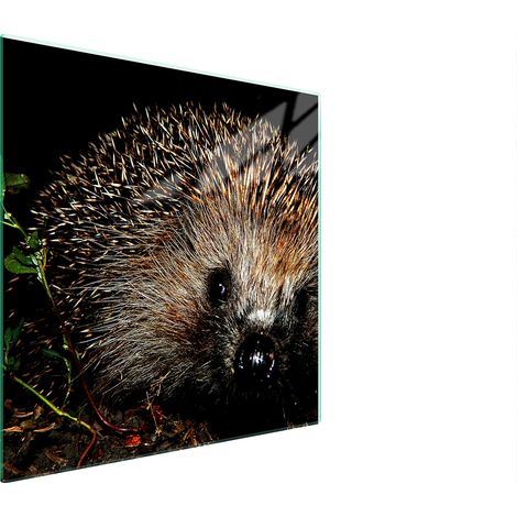 PLACA PROTECTORA DE VIDRIO PARA ESTUFA 50x52 ERIZO (1/5)