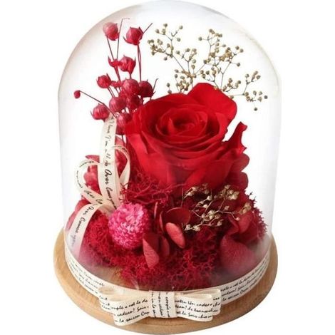 Ewige Rose unter Glaskuppel – Naturrot – Geschenk für Frauen – Valentinstag, Muttertag (1/5)