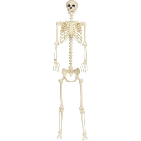 Modèle de Squelette d'halloween - Figurines Squelettes Grandes Articulées (1/5)