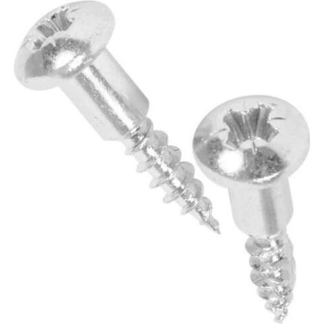 50290016000 Vis (x2) fixation porte lave-vaisselle (1/2)