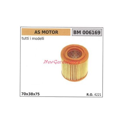 Filtre à air AS MOTOR moteur de tondeuse à gazon 006169