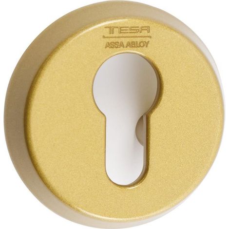TESA escudo abierto cerradura seg.e300l26lm laton mate ,  (1/2)
