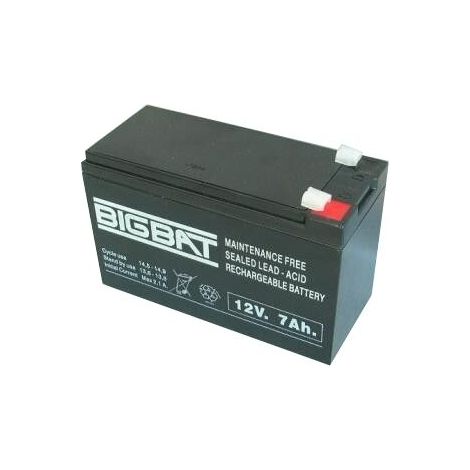 Bigbat batteria piombo ricaricabile 12V 7Ah per Bentel Tecnoalarm Risco Paradox - 01207