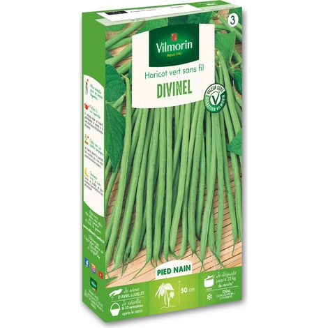 Vilmorin Haricot Nain Vert Divinel (1/2)