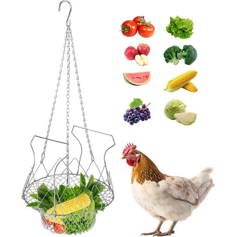 Panier distributeur de nourriture suspendu pour poules et volailles, support de légumes et fruits pour poulailler, filet d'alimentation interactif en acier inoxydable