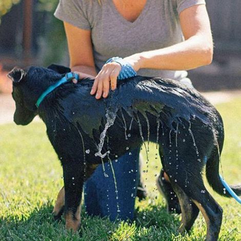 Accessoire de douche pour animaux de compagnie, tuyau de douche détachable en silicone ABS pour chien, douchette pour laver, frotter, masser et toiletter (1/5)