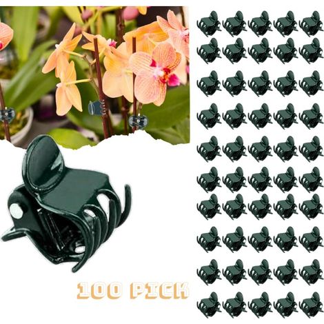 100 Pieces Clips de Support Plante,Clips pour Plantes Grimpantes,Clips Orchideen,Clips Attache Tuteur,Jardin Clips de Fixation Plante en Plastique,pour Plantes,Fleurs-Orchidée Style
