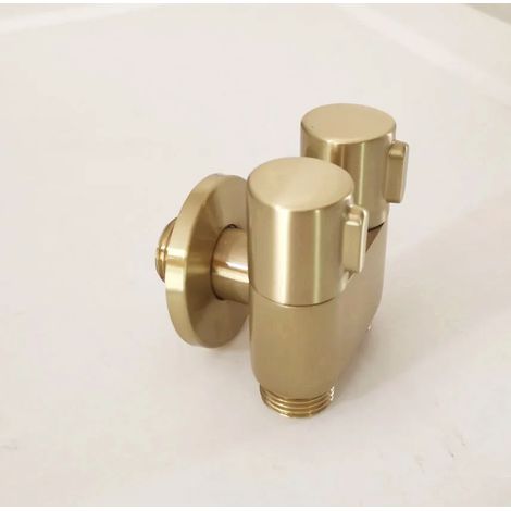 (Vanne) Pulvérisateur de bidet portable à deux voies en or brossé pour arrosoir de toilettes, robinet de bidet, pommeau de douche de bidet pour autonettoyage (1/5)