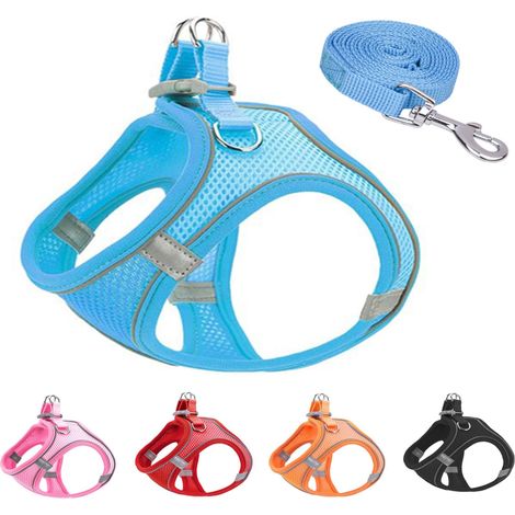 Ensemble de traction dorsale et pectorale pour animaux de compagnie Irovami en maille douce et respirante bleue, taille 3XS (1/5)