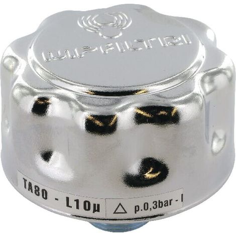 T. riem.serb.3/4" TA80-G1-L10- MP-FILTRI TA80G1L10AM1 (1/2)