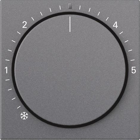 Gira Copertura RTR Controllo System 55 Antracite [270228], 2702 28