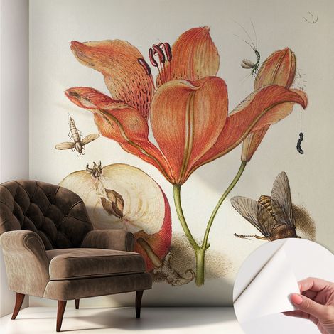 Papier peint adhésif décoratif pour chambre et salon Design moderne à poser facilement Illustration botanique 250x250 cm (1/5)