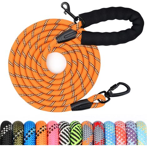 1 - Longe Pour Chien - Laisse De Dressage - Poignée Rembourrée Et Crochet Pivotant - Pour Promenade Et Entraînement - Noir - 5M