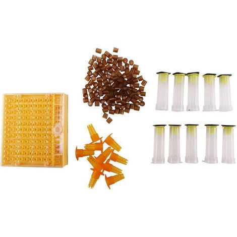 Kit apicole avec 120 cellules, outils apicoles, système complet d'élevage de reines, cage de capture, Nico - AquaForge (1/5)