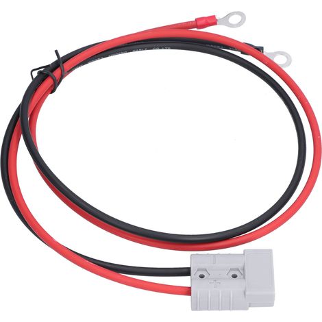 Câble d'extension 1m 50A 600V résistant à l'usure pour connexion de bornes M8 et câbles 2.5mm²