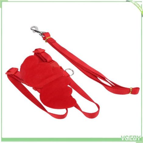 Laisse de harnais - FAFEICY - Modèle S - Nylon réglable - 1,8 m - Pour canard (1/5)