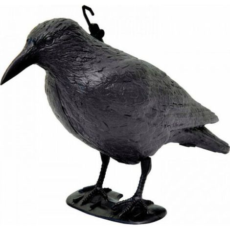 STATUA SPAVENTAPASSERI CORVO 35CM STATUA DISSUASORE SPAVENTA PASSERI PICCIONI COLOMBI (1/5)
