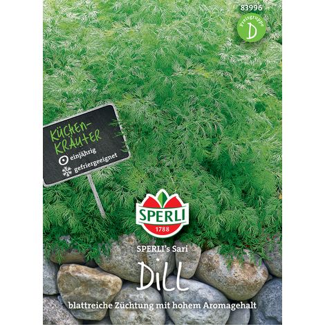 Sperli Dill Sari - Kräutersamen (1/3)