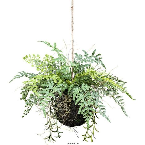 Kokedama plante artificielle fougère mixte D 25 cm (1/3)