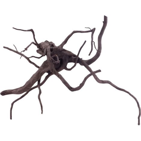 L Black Spider Wurzel Nr.5240 Fingerwurzel Echtholz Deko Aquascaping