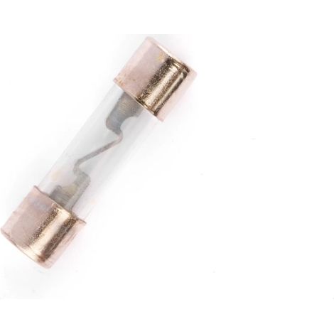 Sicherung Kyoto 10A 25mm Pack mit 10 Stück