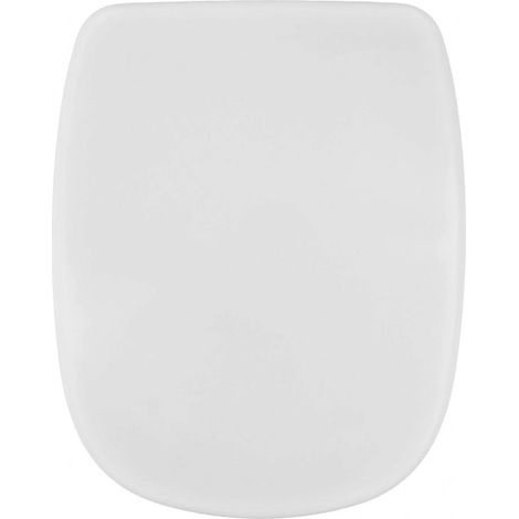 battant pour WC de marque DOLOMITE, modèle Fleo (1/4)