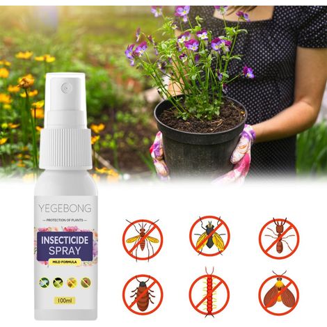 Insecticide pour Plantes d'Intérieur - Traitement Anti-Araignées et Insectes (1/5)