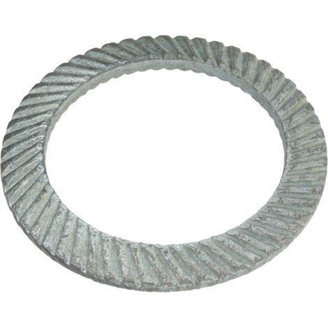 Reidl Schnorr-Sperrzahnscheiben 30x45x2, Form S, beids. gezahnt, Stahl mechanisch verzinkt (1/2)