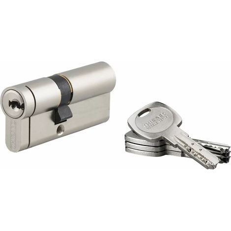 THIRARD - Cylindre 45x30 mm snap 30 mm 4 clés (1/2)