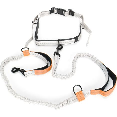 Laisse De Course Pour Chien - Double Poignée Élastique Avec Ceinture Taille Réfléchissante - Jaune - 1 Pièce (1/5)