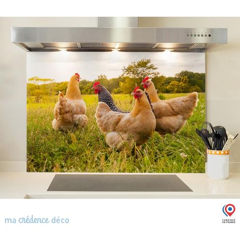 Fond de hotte : Poules et natures - Verre trempé - 90 cm - 60 cm (1/5)