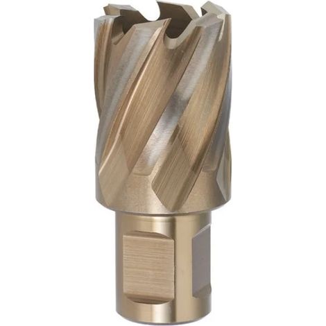 Fervi F002 Sega a carotare HSS-Co 5% con attacco Weldon - 12 mm (1/5)