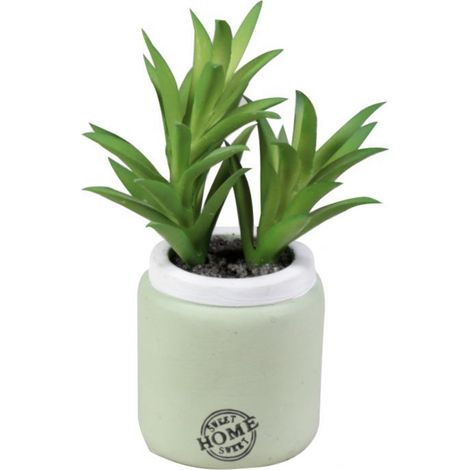 VASO CON PIANTA GRASSA D.8XH13CM IN CERAMICA VERDE