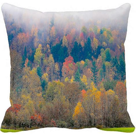 Housse de coussin motif paysage forestier, champ d'arbres aux couleurs d'automne, 45 x 45 cm (1/5)