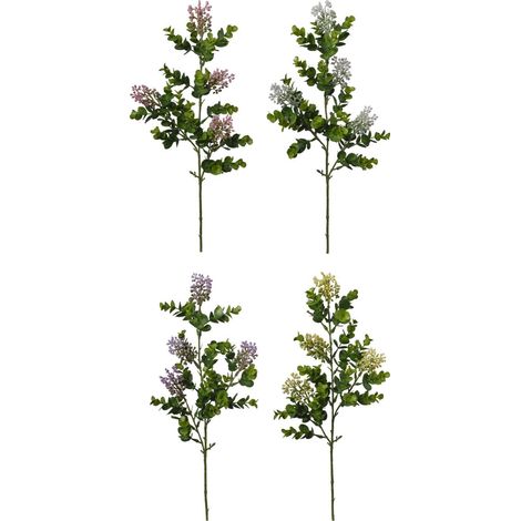 Conti Ramo Bacchine H 60 Cm Assortite 1 Pz