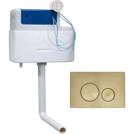 Roper Rhodes Cascade Cistern and Rondo Brushed Brass Dual Flush Plate (1/4)