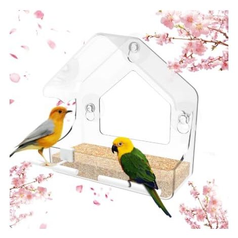 Mangeoire à Oiseaux Transparente pour Fenêtre avec Ventouses Puissantes (1/5)