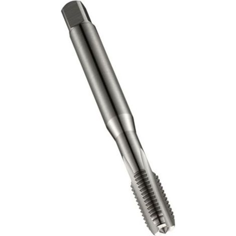 Brosse de queue pour robot de piscine – Compatible Polaris 280/380 – Matériau résistant – Nettoyage efficace des parois (1/2)