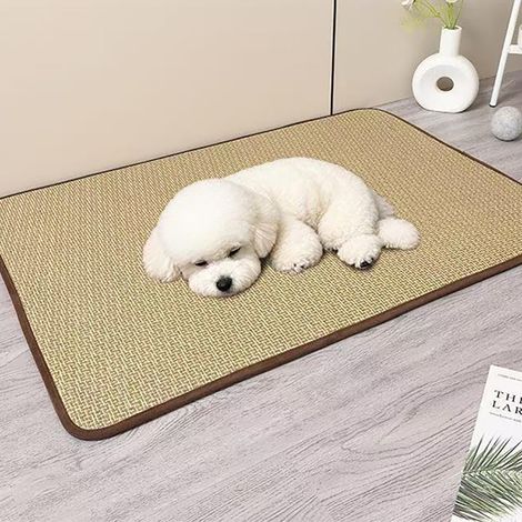 Un tapis d'été rafraîchissant conçu spécialement pour les animaux de compagnie, adapté à une utilisation intérieure, vert sésame, 40 x 50 cm. (1/4)