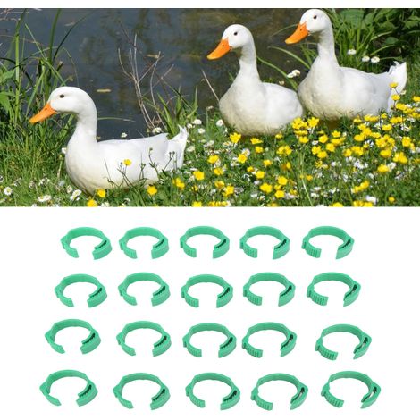 100 Stück/Verkauf von ungelabelten, offenen Geflügelschenkelringen für große Hühner, Enten und Gänse. (1/5)