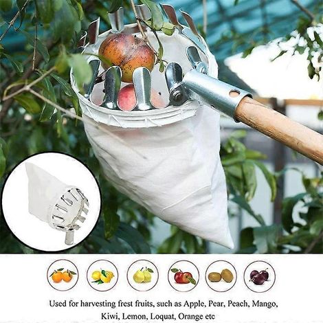 Cueille-fruits portable avec panier, outil de jardin pour la cueillette d'agrumes, de poires et de pêches (1/5)